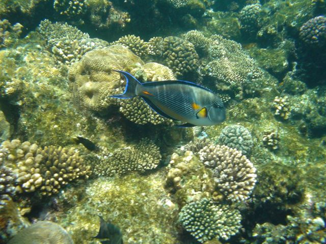 DSC00542.JPG