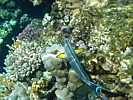 DSC00591.JPG