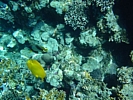 DSC00597.JPG